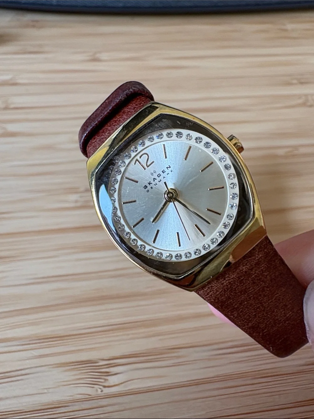 Skagen Gold Case Watch with Silver Dial and Brown Leather Strap